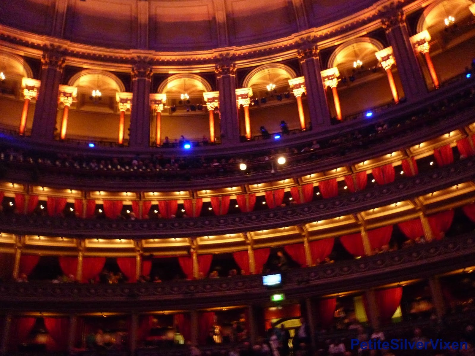 Royal Albert Hall Interior | PetiteSilverVixen