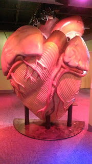 giant heart at a kid's museum