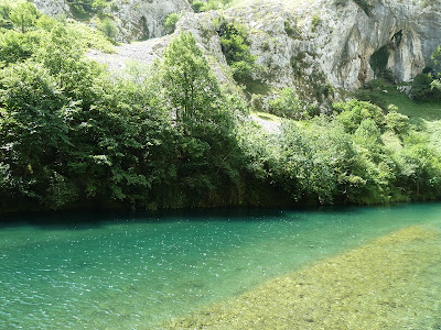 Picos de Europa