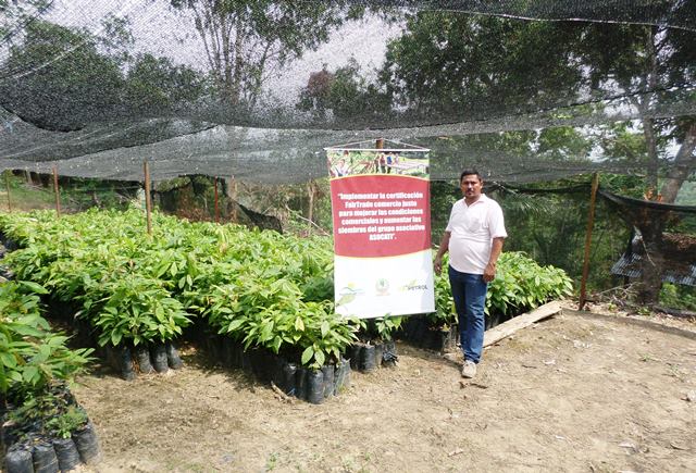 Noti-Ecopetrol: En Norte de Santander, 1.200 pequeños productores de cacao se fortalecen con las alianzas