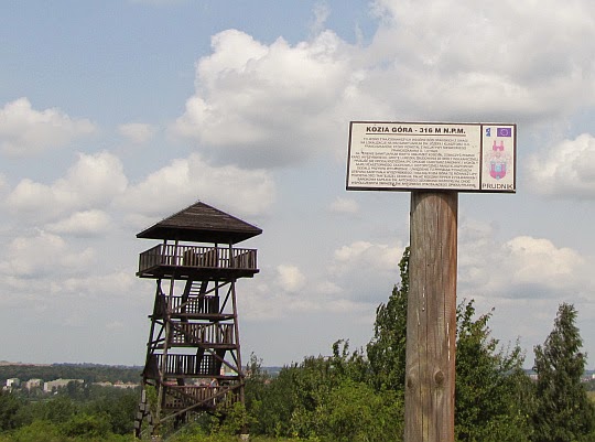 Wieża widokowa na Koziej Górze (Klasztorne Wzgórze, 316 m n.p.m.).