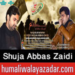 http://www.humaliwalayazadar.com/2014/10/shuja-abbas-zaidi-nohay-2005-to-2015.html