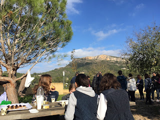 RESPONSABILIDAD SOCIAL CORPORATIVA - Conservación y Sociedad