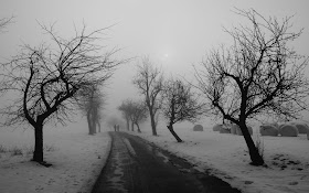 High Resolution Nature Wallpaper 