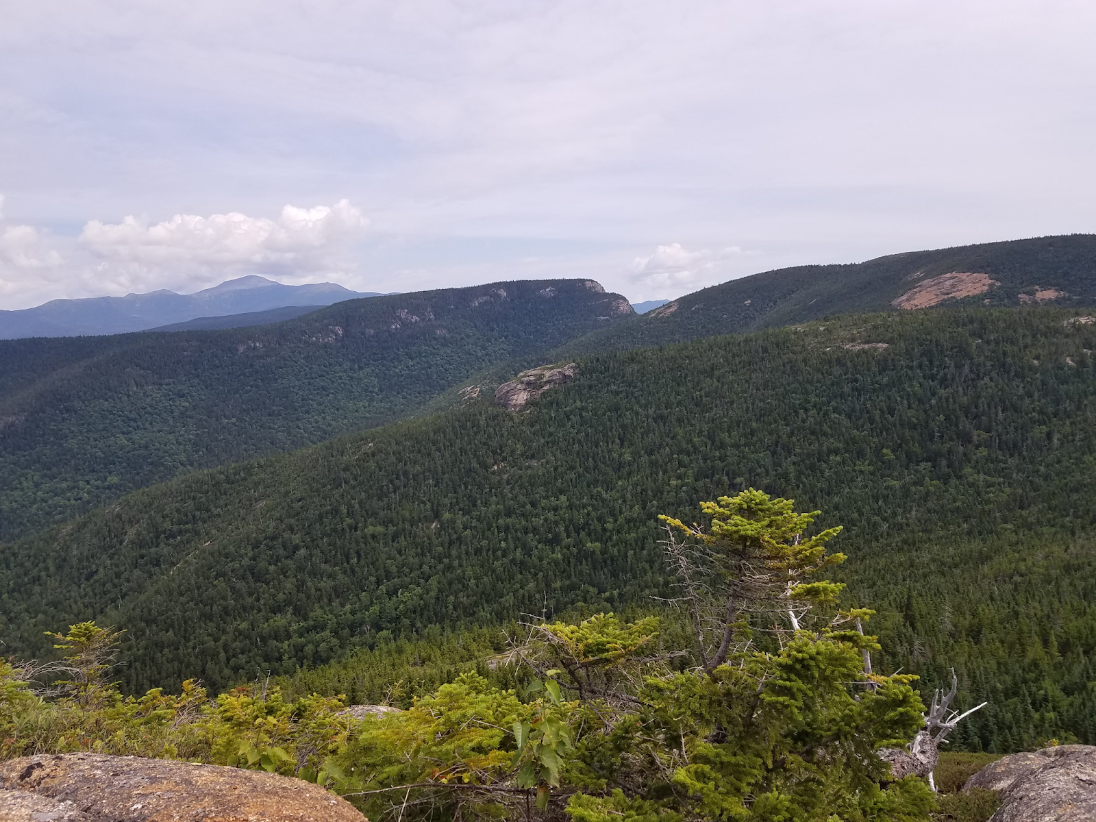 BuddhaMouse Blog mt crawford