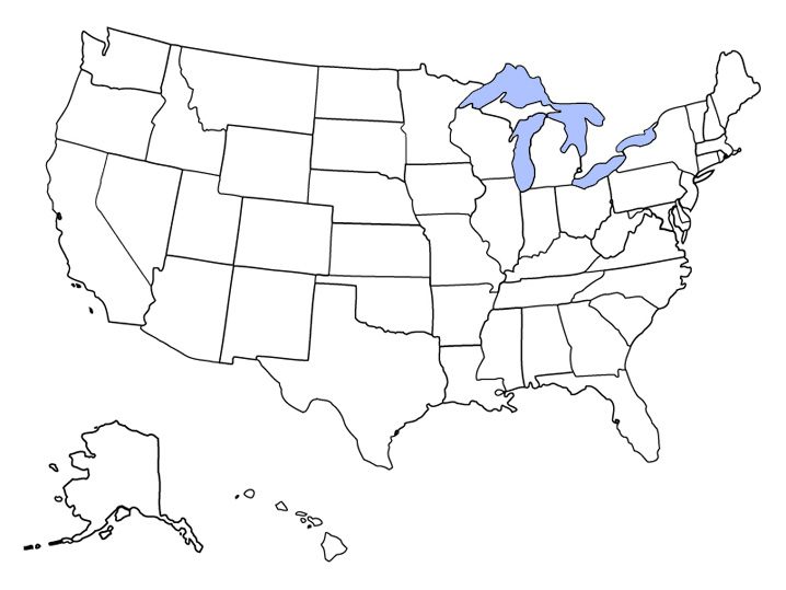blank-usa-maps-fill-in-the-blanks-white-gold