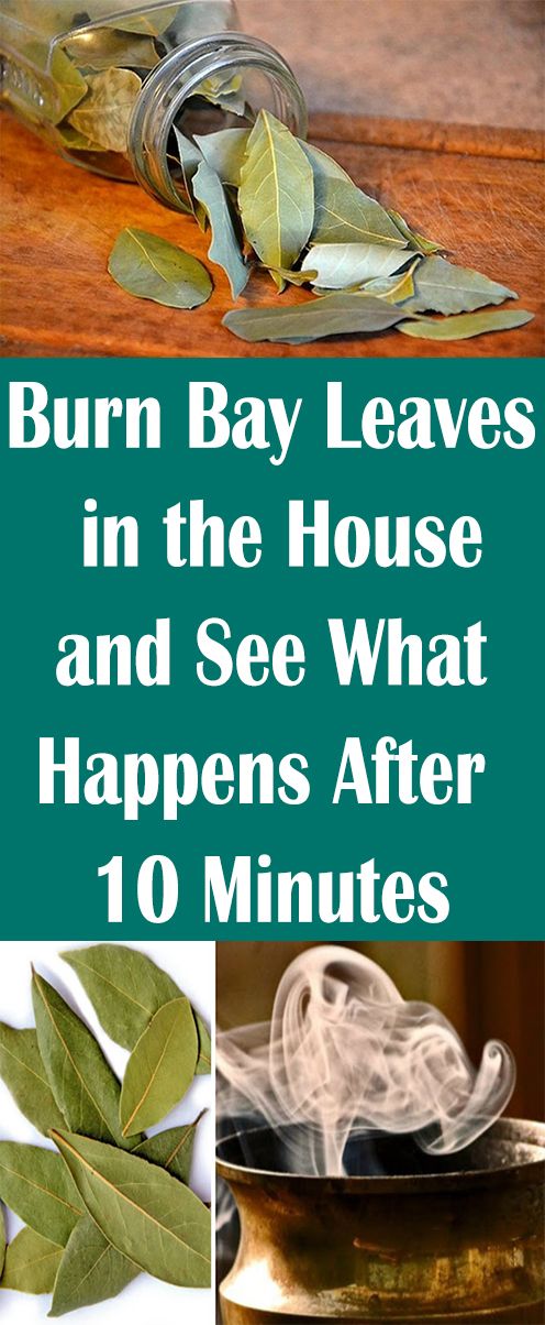Burn Bay Leaves in the House and See What Happens After 10 Minutes ...