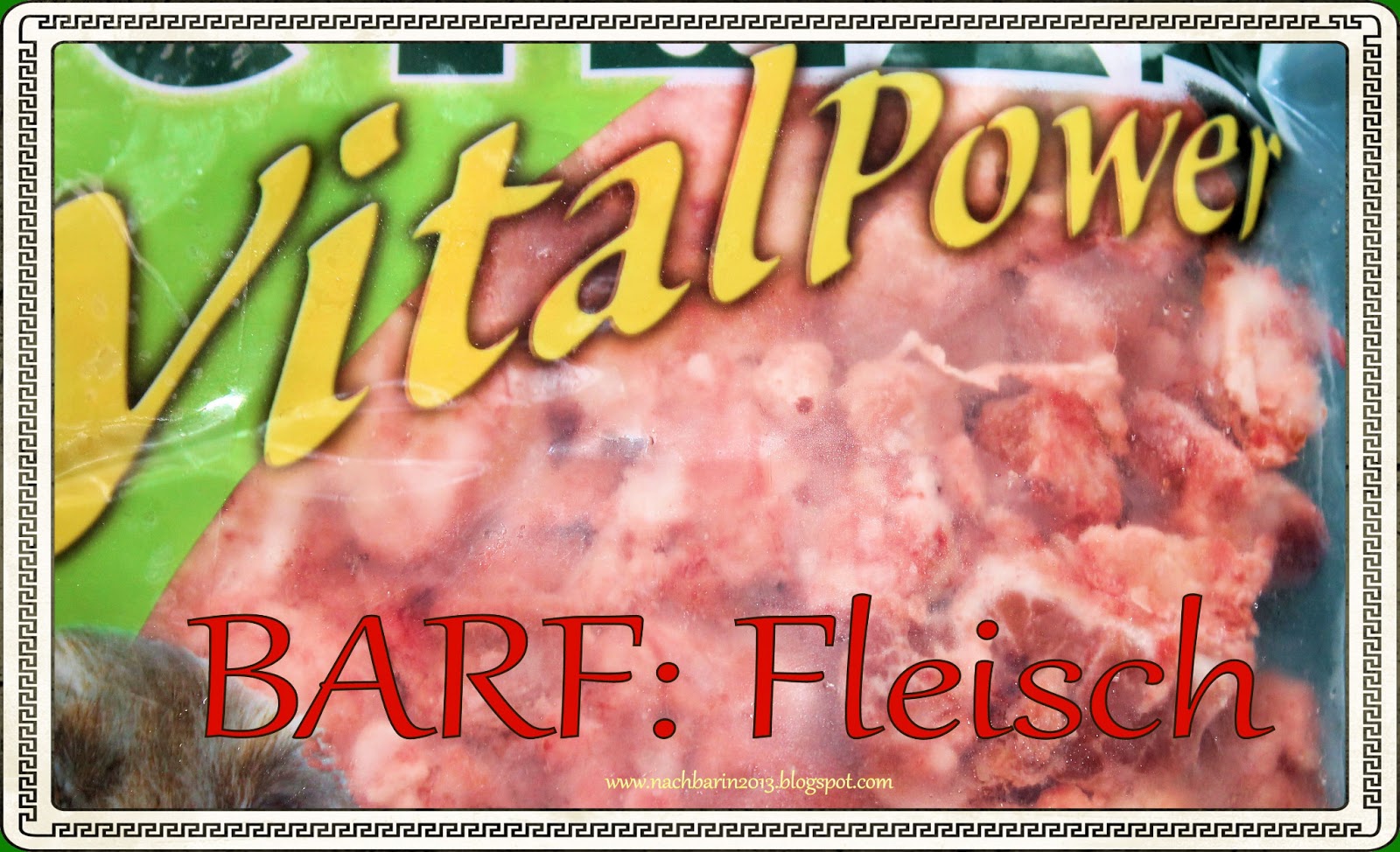 flohsamenschalen für hunde einweichen