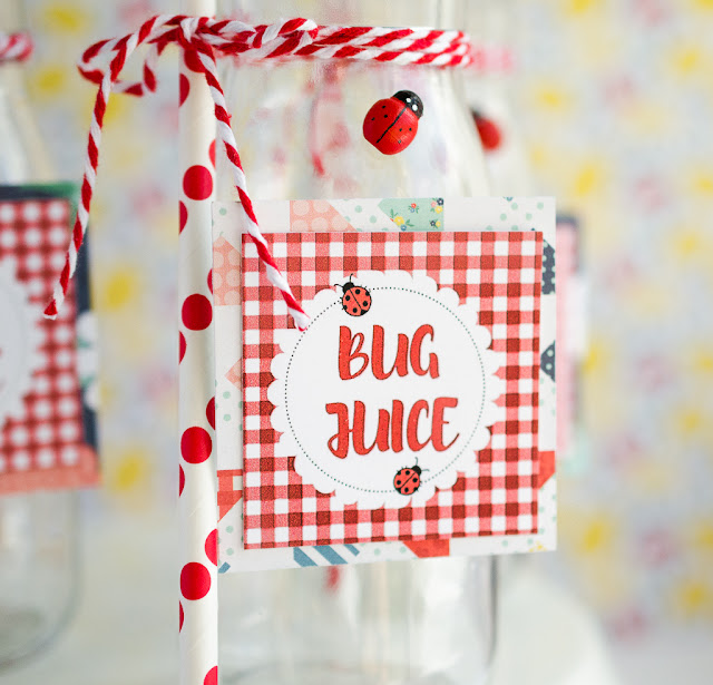 Ladybug Picnic