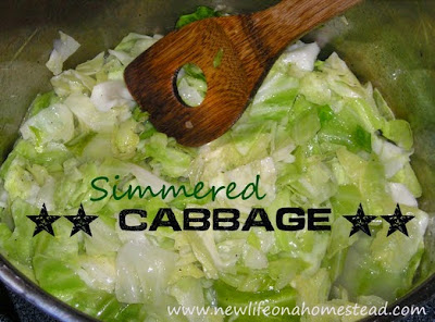  Simmered Cabbage