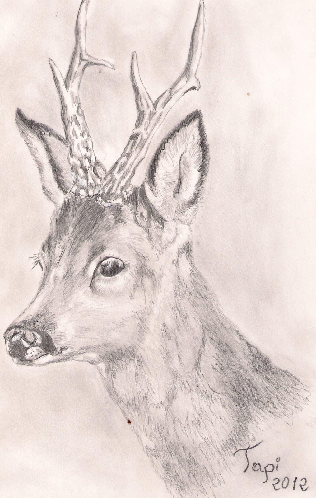 Blog de Dibujo El Tapi.: Dibujos a lapiz