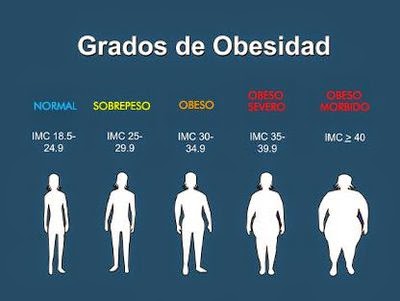 El problema de la Obesidad