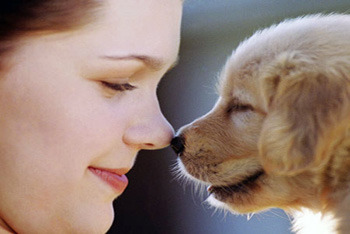 Spend-time-with-pet Spend-time-with-pet