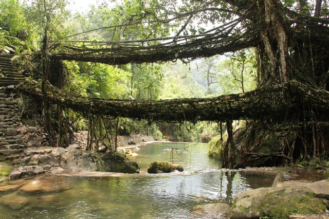Backpack Trekking In India  - The natural root bridge ,Meghalaya