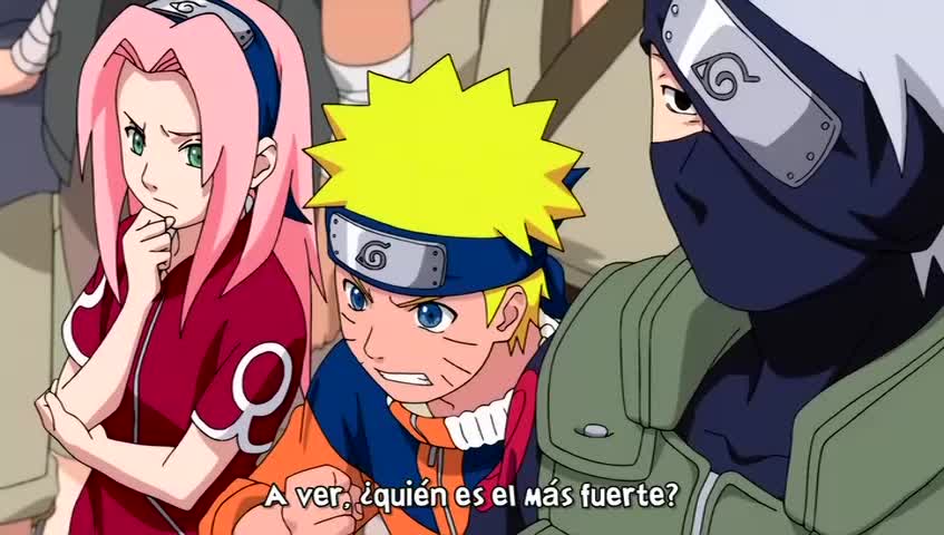 Ver Naruto Shippuden Saga del pasado: El lugar de Konoha - Capítulo 181