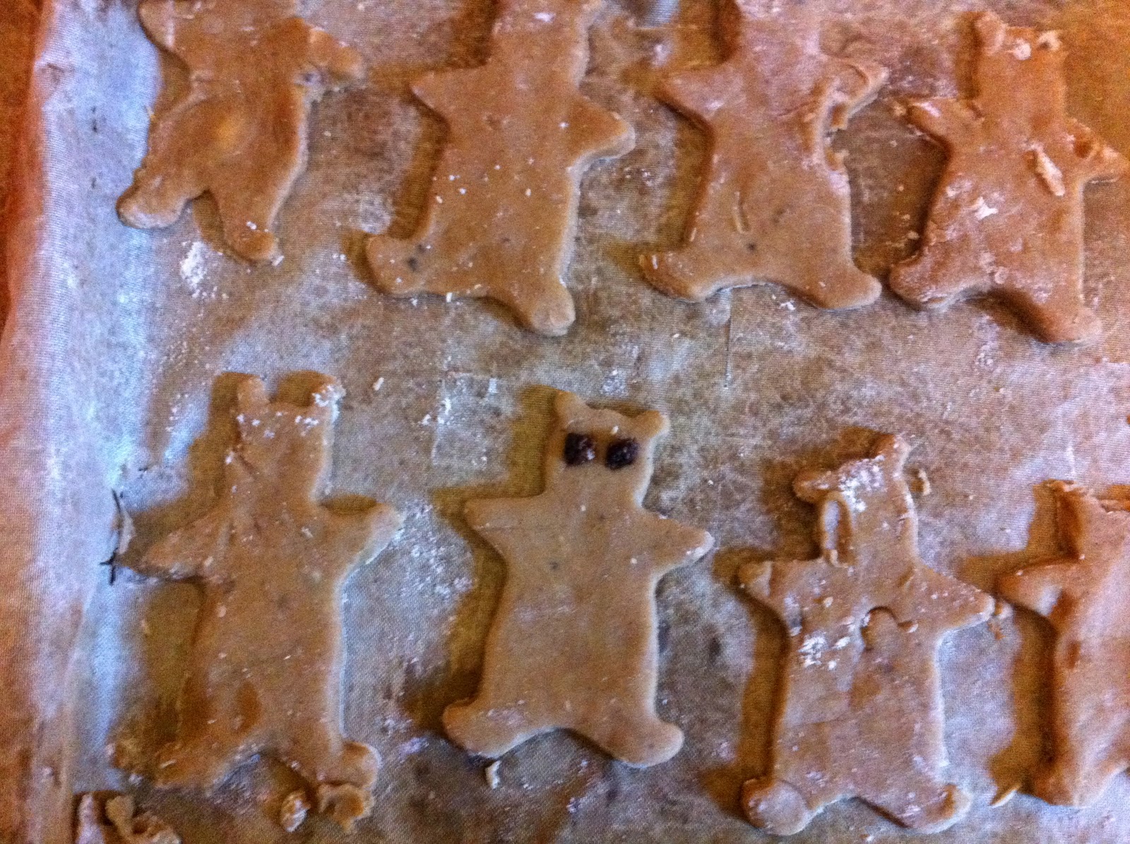 bear garden disco biscuit bear garden disco biscuit