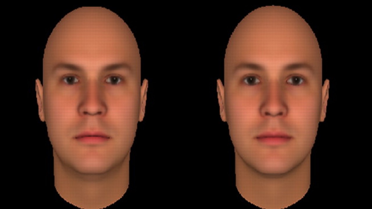 Facial expressions presentation doc image