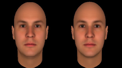 micro facial expressions