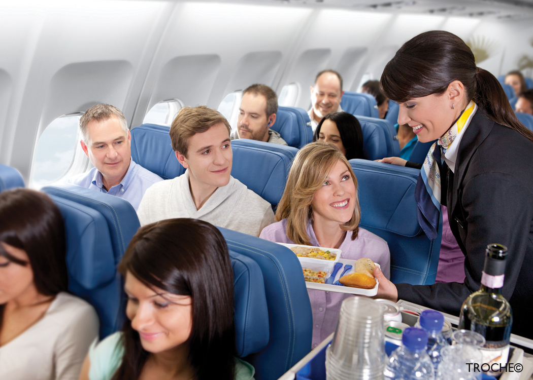 Авиакомпания работают. Девушка победа. Стюардесса в самолете. Kingfisher airlines стюардессы. Vietjet air самолеты.