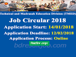 TMED-Technical and Madrasah Education Division Job Circular 2018