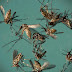 Mantenha suas janelas fechadas: Empresa irá liberar 20 milhões de mosquitos infectados por bactérias!