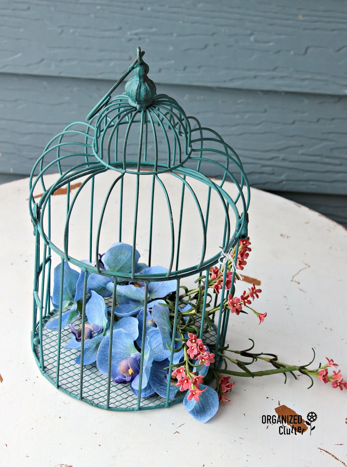 UpCycle Cage