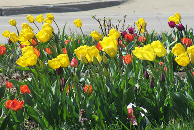 Easter Flowers Detroit