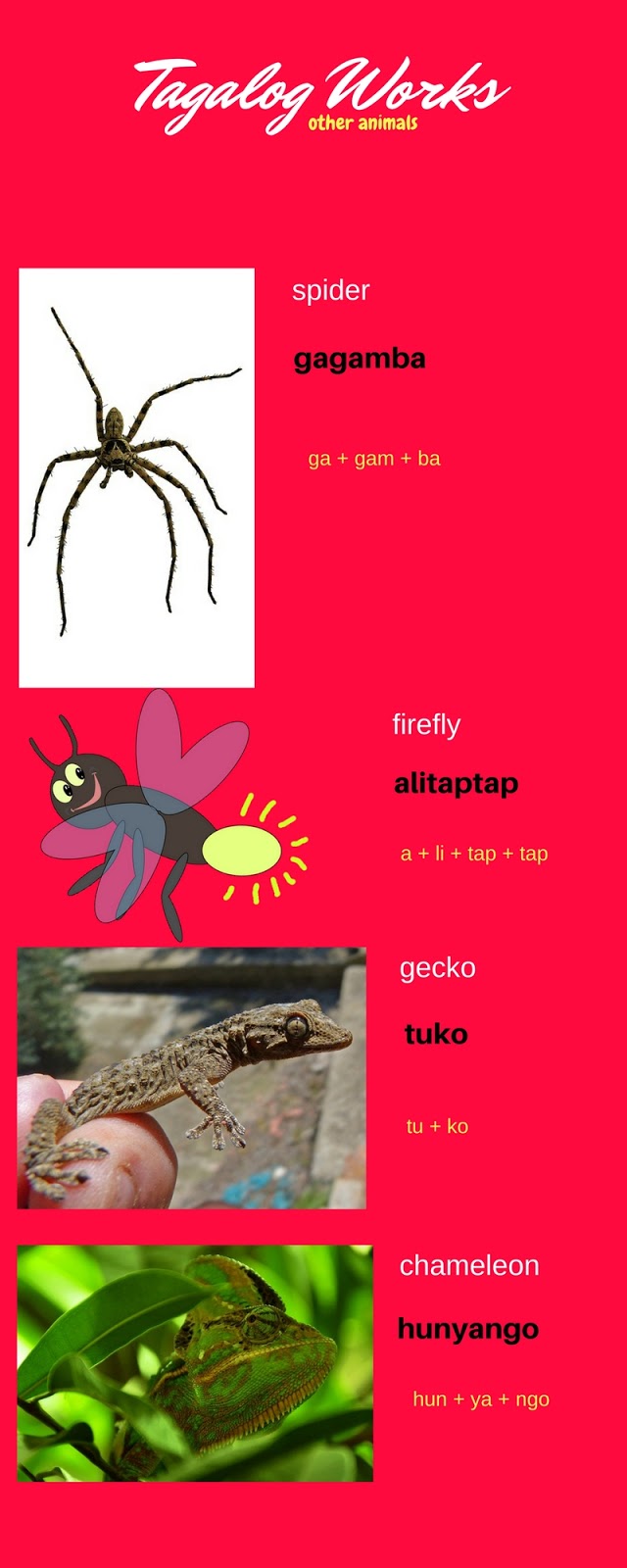 Animals in Tagalog