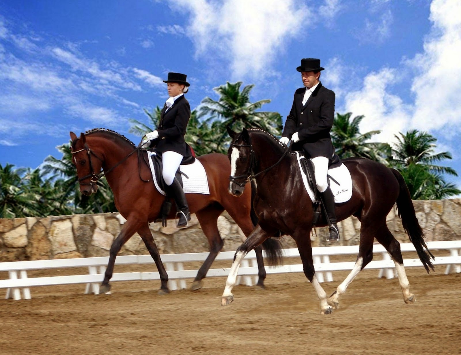 La Equitación ~ Mucho caballo