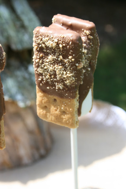 Kara s Party Ideas Camping Party   - 11