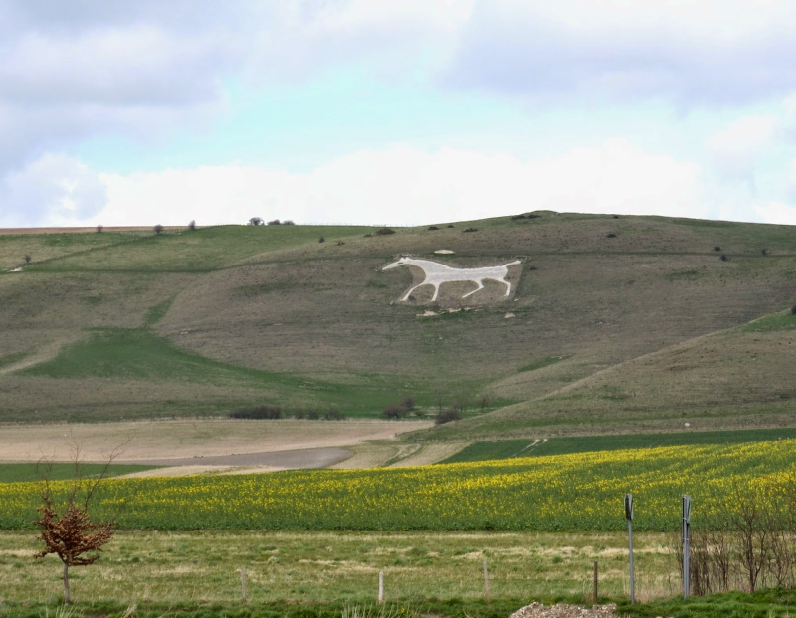 W is for White Horse Trail