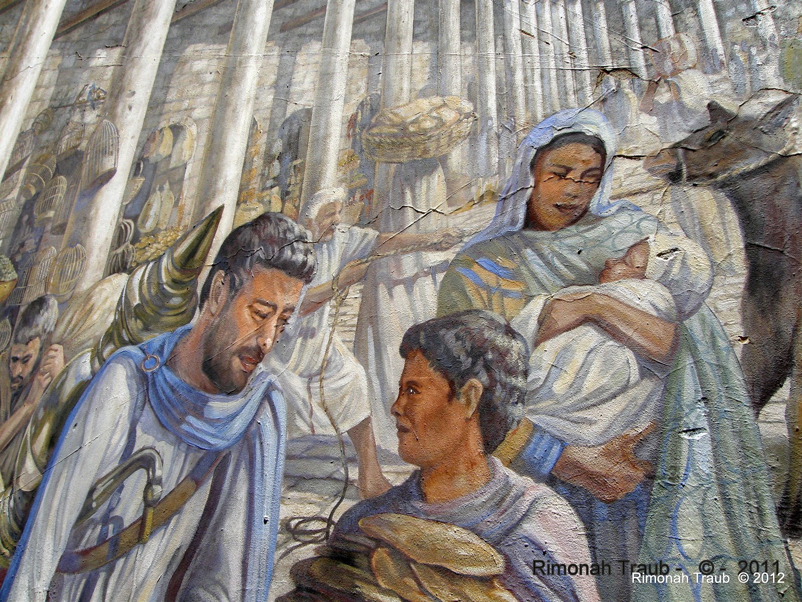 LENS ON A FERTILE LAND, ISRAEL photography Jerusalem Wall Mural IV