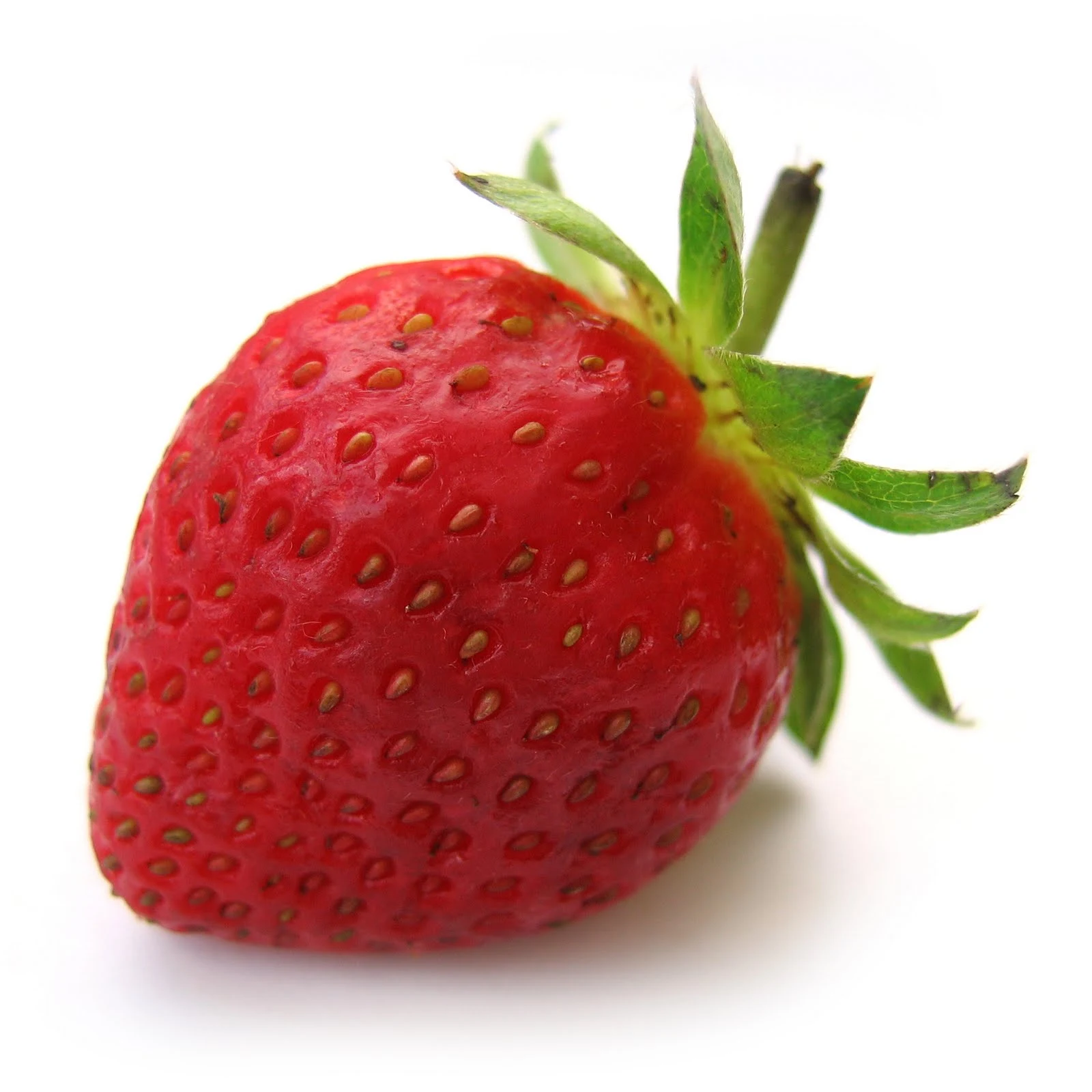 Gorgeous Strawberry Leopard Hair Color Image in HD