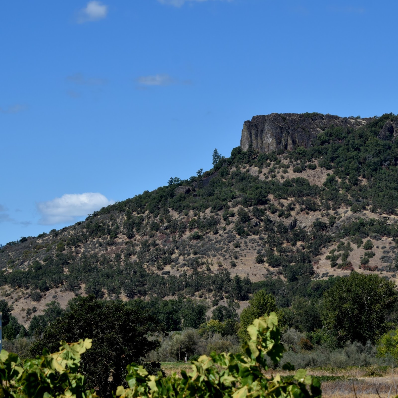 Adventures through Photography Trip to Montesano, Washington 2016