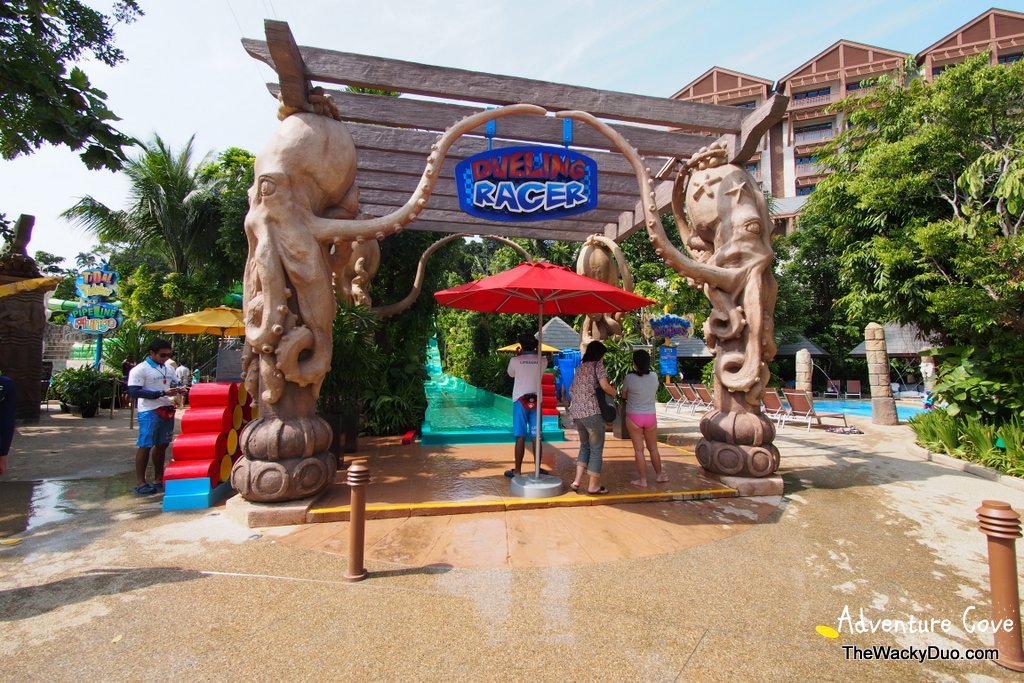 Splash splash Adventure Cove Waterpark Singapore