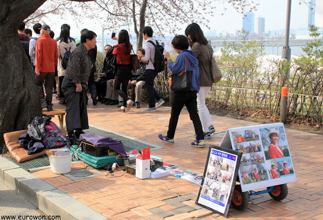 Fotógrafo coreano haciendo fotos bajo los cerezos de Yeouido