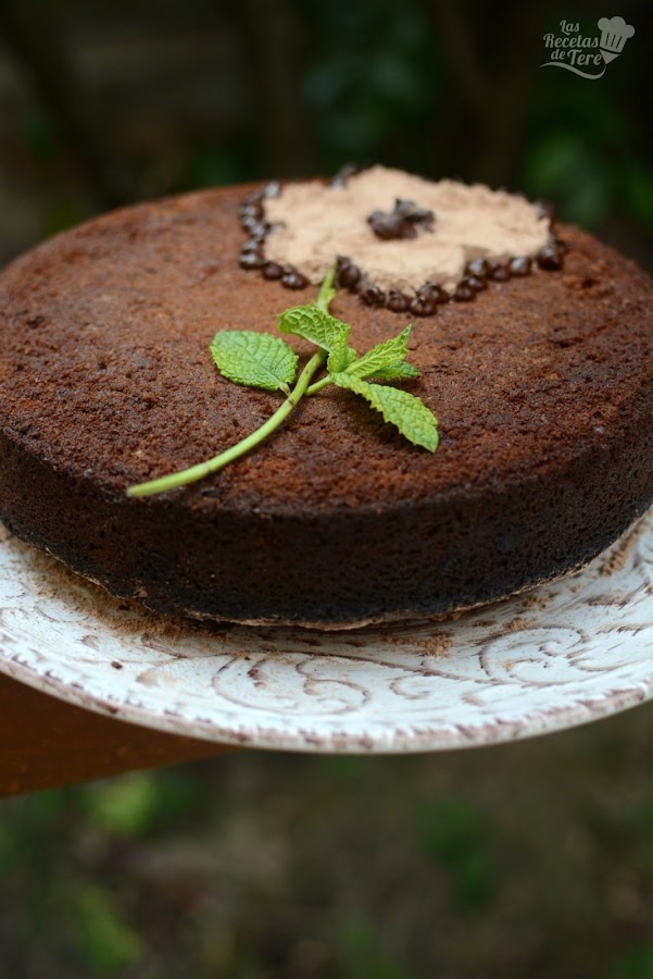 Bizcocho-de-Colacao-04