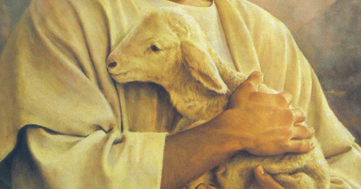 As Ovelhinhas e o Bom Pastor