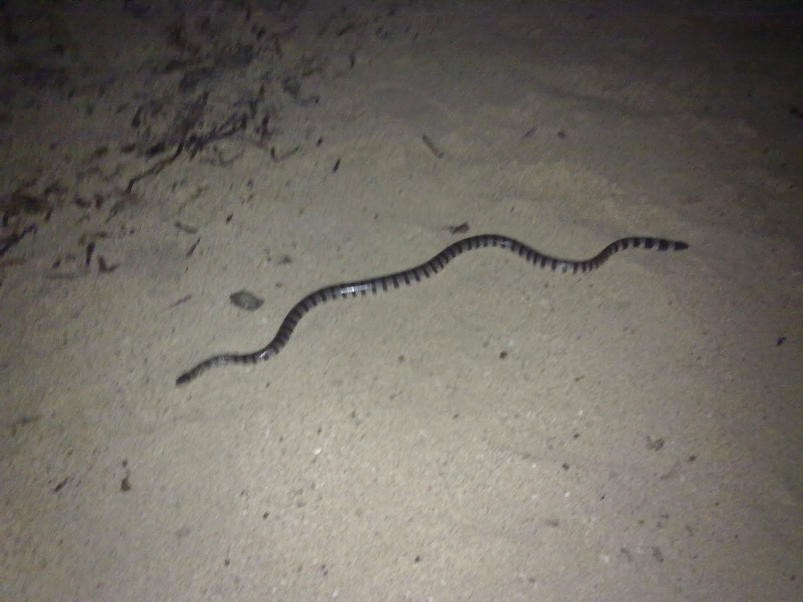 Byahe Tayo!: Pinahon Island