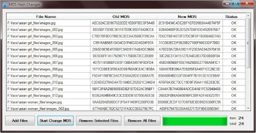 MD5_Hash_Changer.jpg