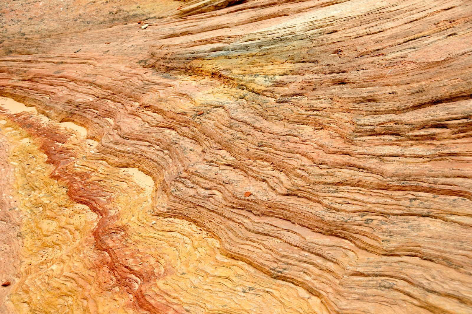 Shower Wisdom Zion National Park