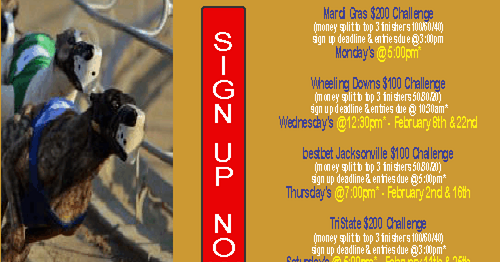 GreyhoundNews Greyhound Racing Today Thursday February greyhound racing today thursday 16
