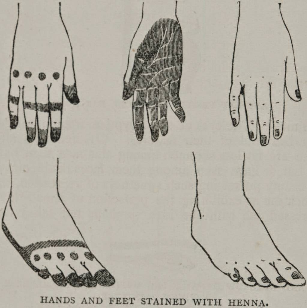 Eshkol HaKofer "Plus the Cost of the Henna" Traces of Jewish Henna in