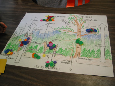 Learning in Place: The Carbon Cycle Game