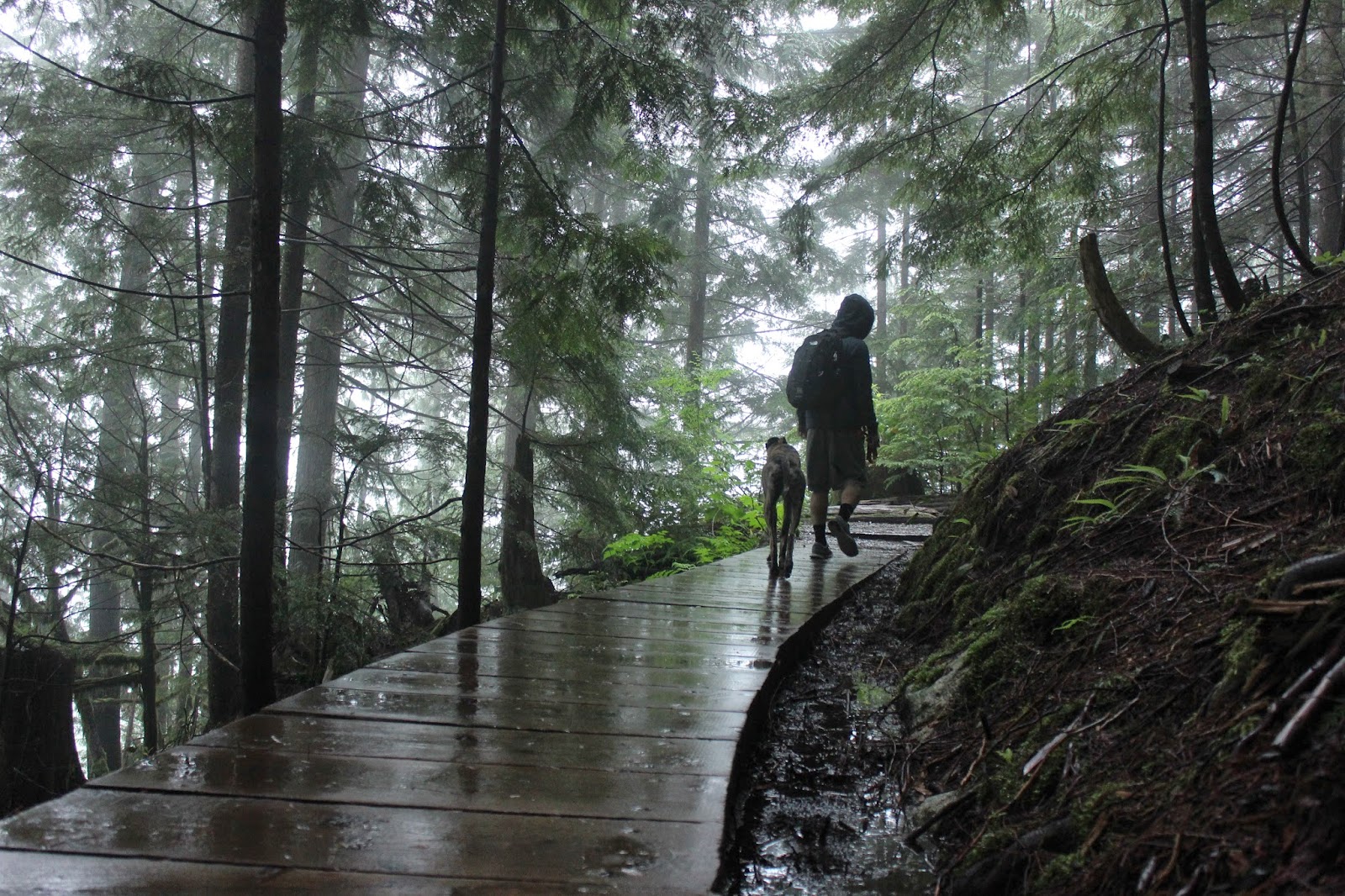 Mostly photos : Bridal Veil Falls / Lake Serene Hike