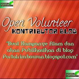 Open Volunteer (Kontibutor)
