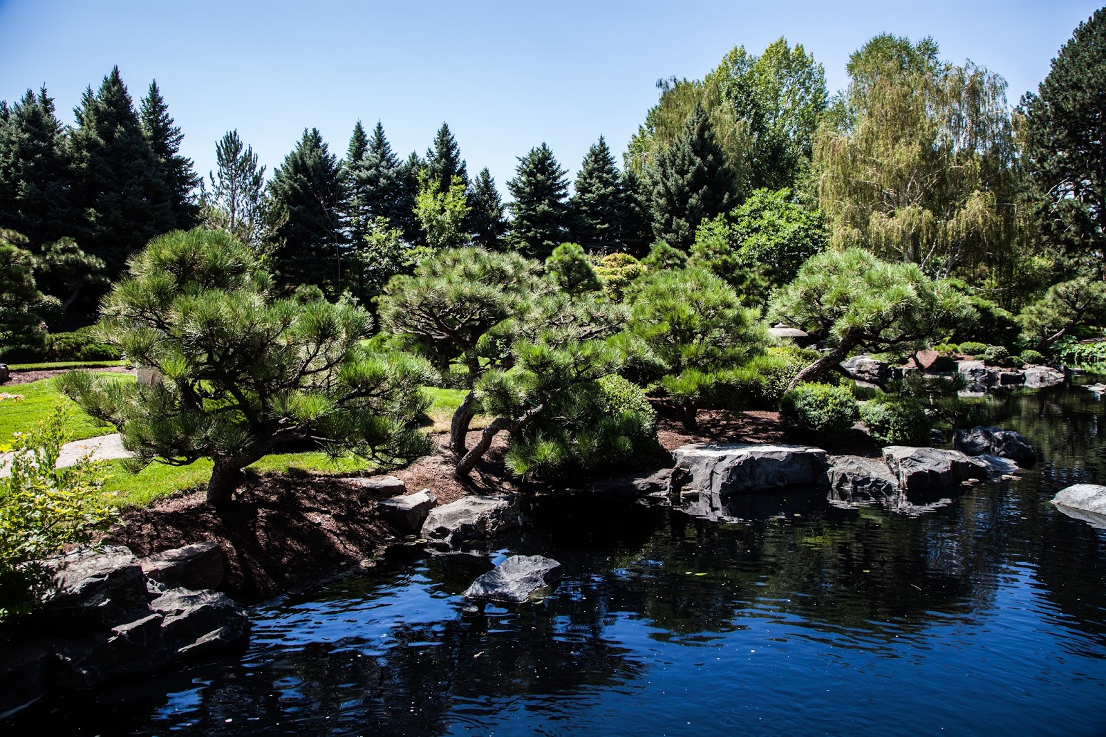 Walking Arizona A Japanese Garden