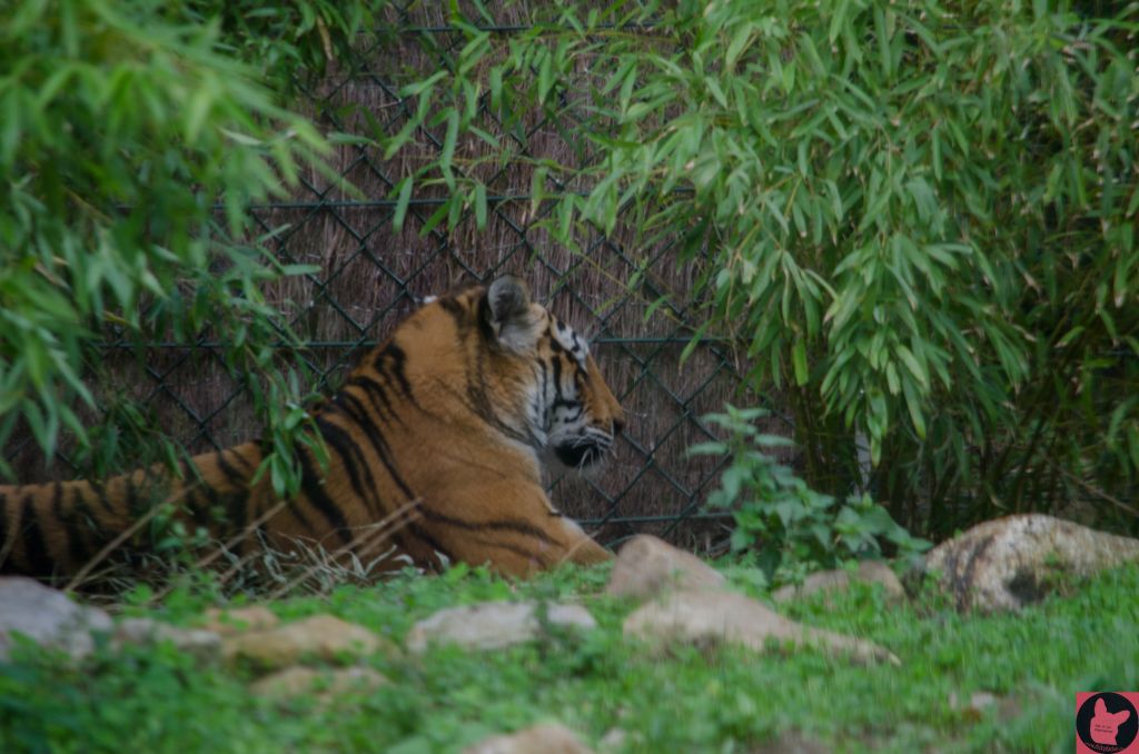 dickydackelblog Zoom Erlebniswelt Gelsenkirchen