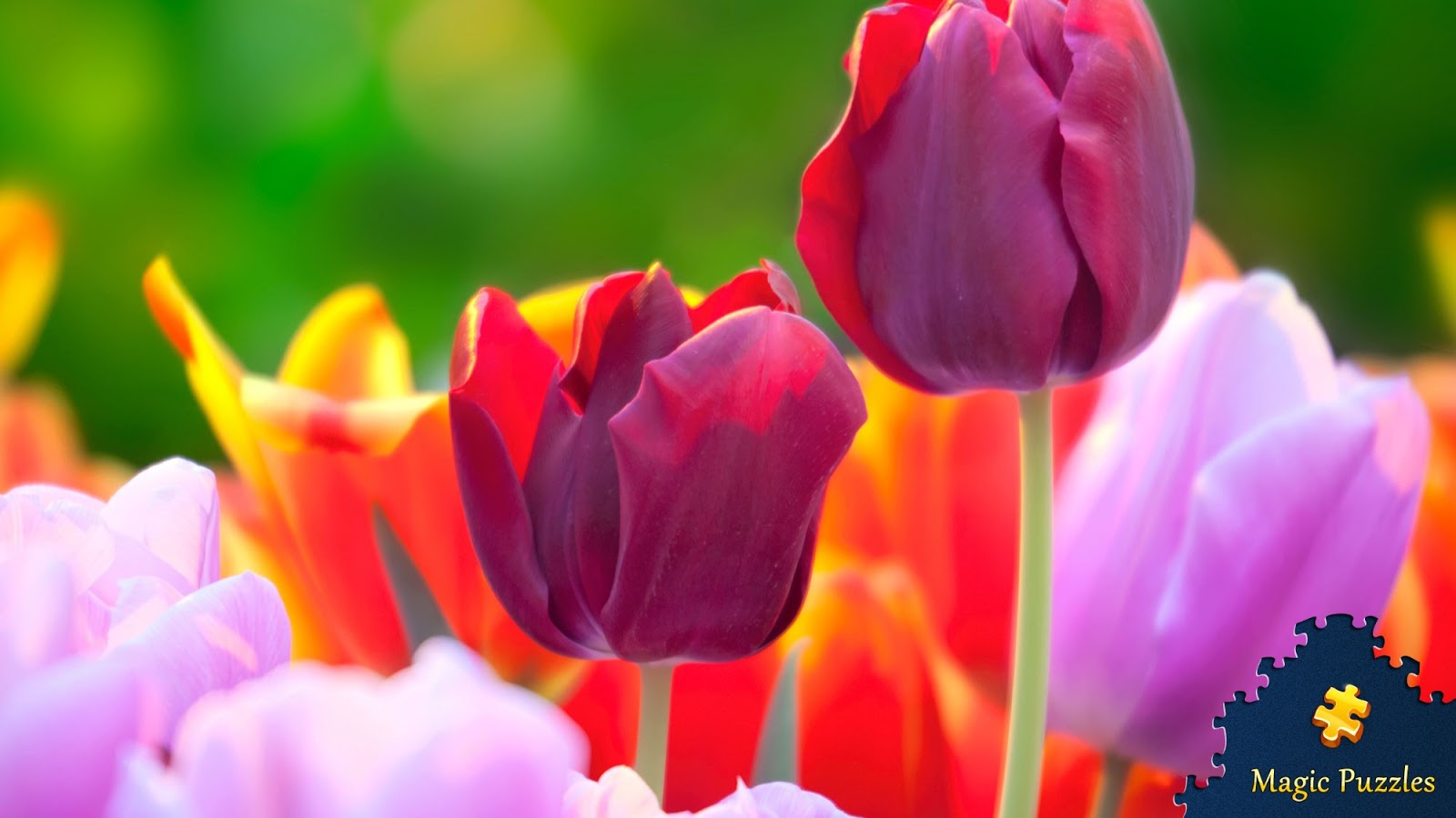 The Other Fickle Pixie Funky Flowers