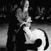 HOW DOES AIKIDO DIFFER FROM OTHER MARTIAL ARTS? 